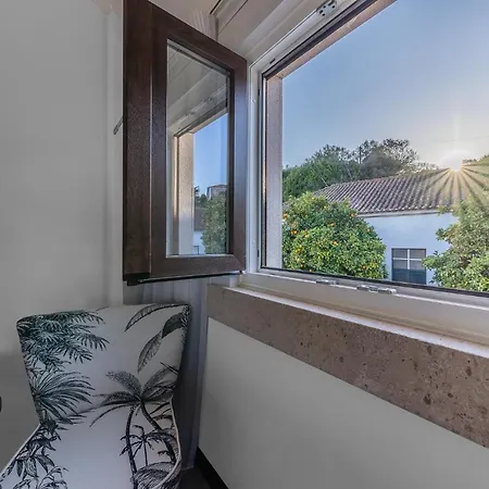 Apartament Love Tomar