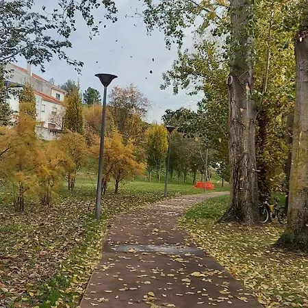 Love Tomar * Томар